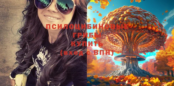 трава Армянск